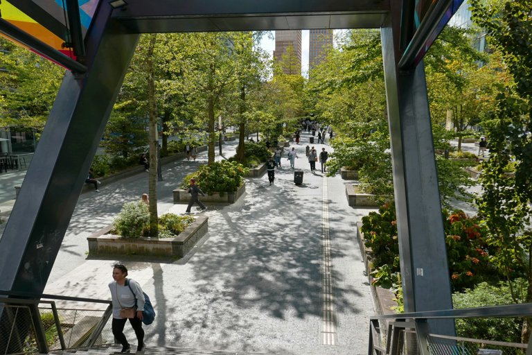 Bowmont Park Restoration Brings New Life to Urban Wilderness